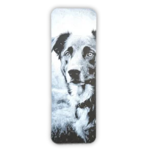 Signet chien